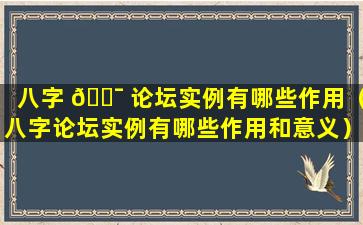 八字 🐯 论坛实例有哪些作用（八字论坛实例有哪些作用和意义）